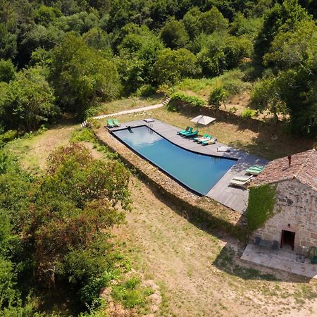 Villa Quinta De Fermil - Casas Vouzela Exterior foto